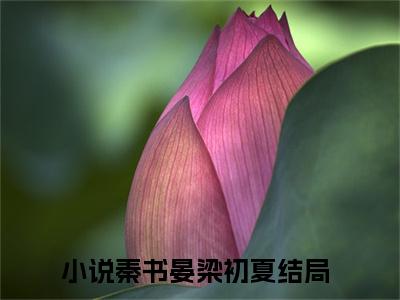 秦书晏梁初夏最新完结言情文-秦书晏梁初夏小说讲述的是什么秦书晏梁初夏