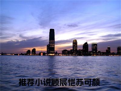 （顾宸恺苏可颜）新书热荐免费小说-小说大结局