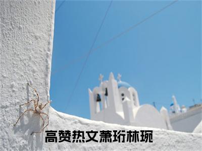 萧珩林琬（萧珩林琬小说）全文免费阅读无弹窗大结局_（萧珩林琬无弹窗）