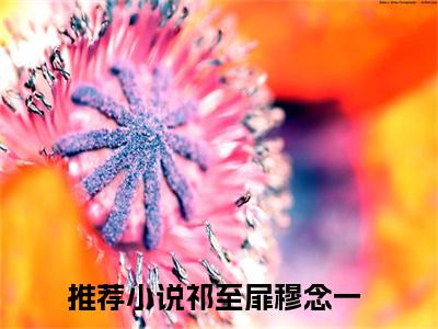 祁至扉穆念一（祁至扉穆念一)全文免费阅读无弹窗大结局_祁至扉穆念一（祁至扉穆念一）全文完整无删减版免费阅读（祁至扉穆念一）