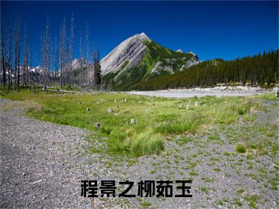 程景之柳茹玉免费小说 程景之柳茹玉完结版在线阅读