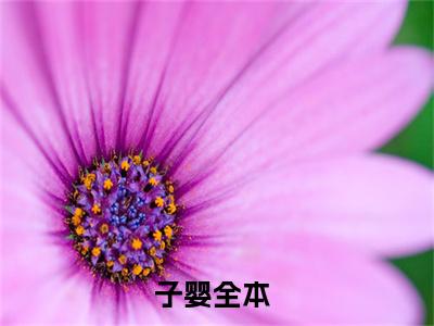 子婴（大秦：吾为始皇，重生子婴）精选热门小说-小说（子婴）大秦：吾为始皇，重生子婴全文免费阅读最新章节列表