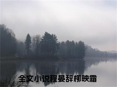 程晏辞柳映霜（程晏辞柳映霜）小说全文免费阅读无弹窗大结局_（程晏辞柳映霜）小说全文免费阅读最新章节列表笔趣阁