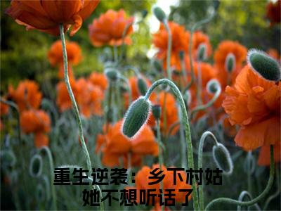（霍璟恒宋染夏）重生逆袭：乡下村姑她不想听话了新书热荐免费小说全文完整版-重生逆袭：乡下村姑她不想听话了知乎小说