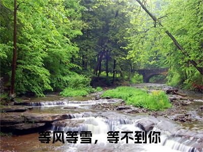 等风等雪，等不到你今日阅读更新，白依依关衍全文在线看