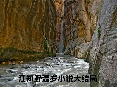 江知野温岁（江知野温岁）全文免费阅读无弹窗大结局_江知野温岁在线阅读笔趣阁