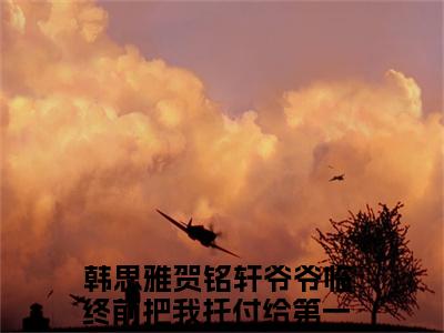 韩思雅贺铭轩（爷爷临终前把我托付给第一豪门）全文免费阅读无弹窗大结局_ 韩思雅贺铭轩最新章节列表_笔趣阁