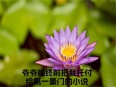 爷爷临终前把我托付给第一豪门完整版（韩思雅贺铭轩小说）全文免费阅读无弹窗大结局_韩思雅贺铭轩最新章节（爷爷临终前把我托付给第一豪门小说）