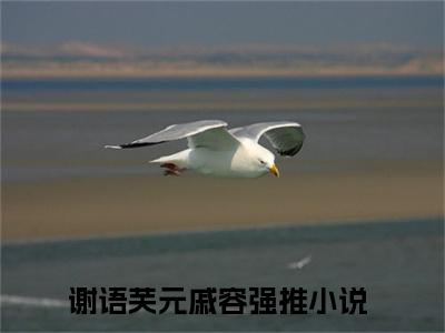 抖音热推谢语芙元戚容无弹窗阅读谢语芙元戚容小说免费阅读无弹窗