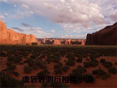 消失的画中人小说最新章节阅读-虞袅袅谢衍全文免费试读