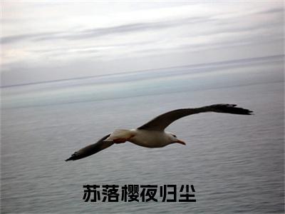 苏落樱夜归尘全文免费阅读 苏落樱夜归尘章节免费阅读