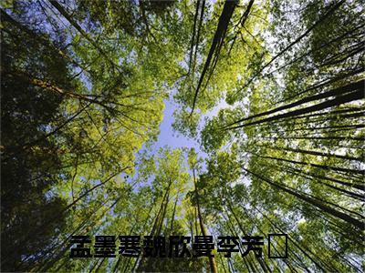 孟墨寒魏欣曼李芳祎小说全文-（孟墨寒魏欣曼李芳祎）精选小说大结局阅读