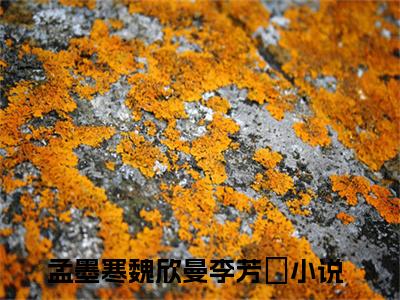 孟墨寒魏欣曼李芳祎（孟墨寒魏欣曼李芳祎全文小说）全文免费阅读无弹窗大结局_孟墨寒魏欣曼李芳祎全文免费阅读最新章节列表_笔趣阁