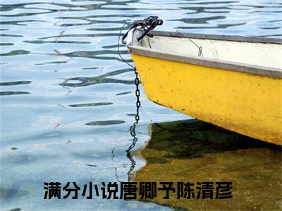 唐卿予陈清彦（大结局小说全集完整版）这个南墙一撞再撞，我放弃了小说_唐卿予陈清彦全文阅读笔趣阁