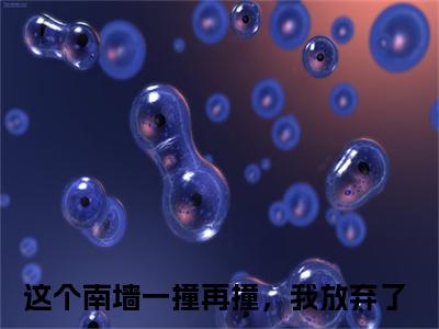 这个南墙一撞再撞，我放弃了精选热门小说 唐卿予陈清彦已完结全集大结局