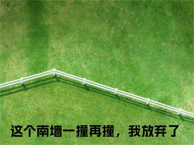 小说（唐卿予陈清彦）在线赏析_这个南墙一撞再撞，我放弃了txt小说在线阅读笔趣阁