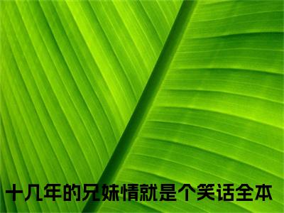 萧厌辞萧予眠（十几年的兄妹情就是个笑话）小说小说全集 十几年的兄妹情就是个笑话无删减在线阅读