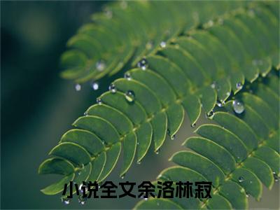 余洛林寂(余洛林寂)全文免费阅读无弹窗大结局_余洛林寂无弹窗最新章节列表_笔趣阁