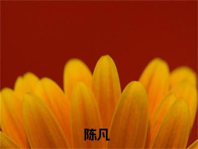 海贼王之灭世雷神（陈凡）全文免费阅读无弹窗大结局_海贼王之灭世雷神小说（陈凡）最新章节列表（海贼王之灭世雷神）