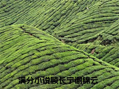 顾长宁谢锦云（顾长宁谢锦云）最新章节在线阅读-全文小说（顾长宁谢锦云）免费阅读