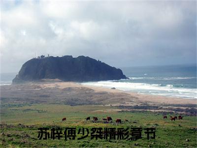 苏梓傅少桀小说（傅太太，请开始你的游戏）全文免费阅读无弹窗大结局_苏梓傅少桀小说免费阅读_笔趣阁（傅太太，请开始你的游戏小说）