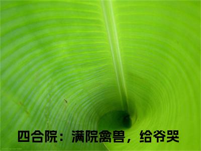 陈一鸣小说讲的是什么-四合院：满院禽兽，给爷哭精彩章节目录观看