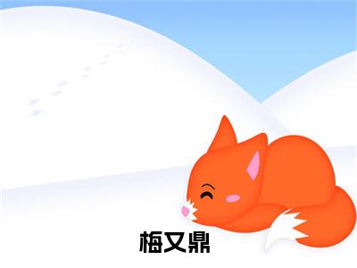 梅又鼎（做旧师小说）全文免费阅读无弹窗大结局_做旧师小说最新章节列表_笔趣阁（梅又鼎）