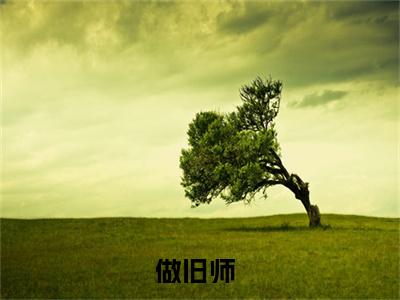 做旧师（梅又鼎）全文免费阅读无弹窗大结局_做旧师最新章节列表_笔趣阁（梅又鼎）