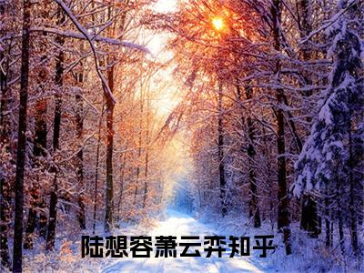 陆想容萧云弈（陆想容萧云弈）全文免费阅读（陆想容萧云弈）小说无弹窗阅读