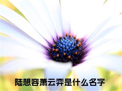 《陆想容萧云弈完整小说》陆想容萧云弈完结版全章节阅读