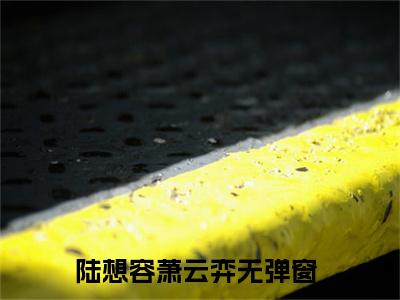 陆想容萧云弈的小说（陆想容萧云弈）免费阅读_陆想容萧云弈小说免费阅读-笔趣阁