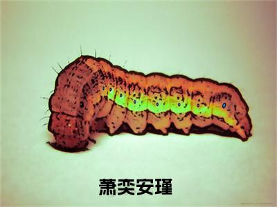 萧奕安瑾小说免费大结局萧奕安瑾里全文免费阅读