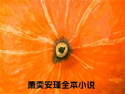 萧奕安瑾小说讲的是什么-萧奕安瑾精彩章节目录观看