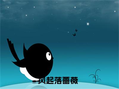 沈惟意傅钦（风起落蔷薇）全文免费阅读无弹窗大结局-沈惟意傅钦最新章节列表-笔趣阁