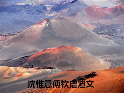 风起落蔷薇（沈惟意傅钦）全文免费在线阅读_风起落蔷薇全文免费阅读无弹窗大结局