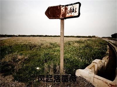 沈惟意傅钦（风起落蔷薇）热门小说盘点在线阅读-沈惟意傅钦小说无弹窗