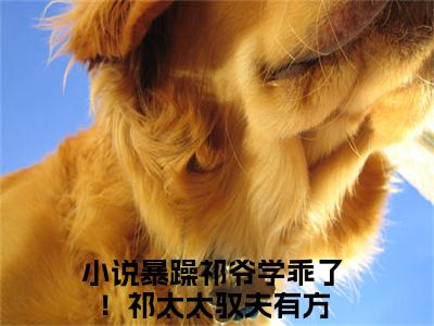 暴躁祁爷学乖了！祁太太驭夫有方（祁御季唯一）全文免费阅读无弹窗大结局_（暴躁祁爷学乖了！祁太太驭夫有方）祁御季唯一最新章节列表_笔趣阁