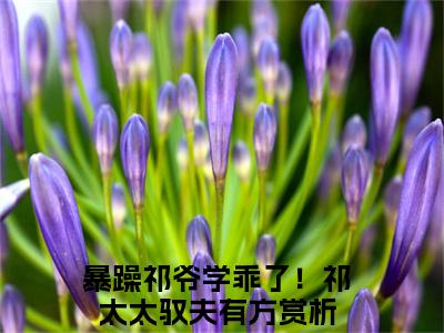 祁御季唯一全文免费阅读无弹窗大结局_（暴躁祁爷学乖了！祁太太驭夫有方）祁御季唯一完整版全文在线赏析