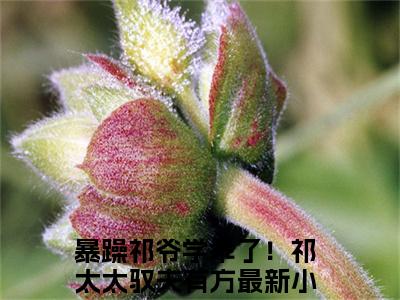 热文（暴躁祁爷学乖了！祁太太驭夫有方）美文阅读_热门小说暴躁祁爷学乖了！祁太太驭夫有方主人公是（祁御季唯一）完整版最新小说大结局_笔趣阁