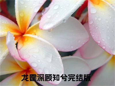 龙霆深顾知兮（龙霆深顾知兮）是什么小说-小说龙霆深顾知兮全文阅读