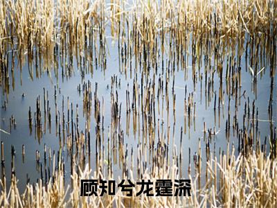 顾知兮龙霆深全文免费阅读无弹窗-顾知兮龙霆深小说最新章节列表