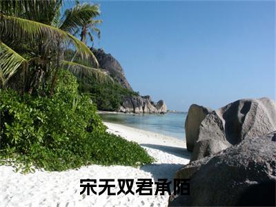 宋无双君承陌（宋无双君承陌）全章节完整版《宋无双君承陌》全文阅读TXT《宋无双君承陌》