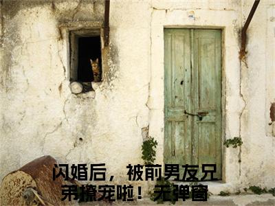 周岁沈暗（闪婚后，被前男友兄弟撩宠啦！）全文免费阅读_闪婚后，被前男友兄弟撩宠啦！最新章节小说免费阅读_笔趣阁周岁沈暗