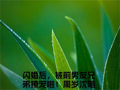 周岁沈暗小说全文免费阅读-（闪婚后，被前男友兄弟撩宠啦！）抖音新书热荐周岁沈暗全文免费阅读