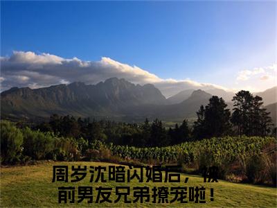 闪婚后，被前男友兄弟撩宠啦！（周岁沈暗）多人推荐-周岁沈暗闪婚后，被前男友兄弟撩宠啦！好看的小说完整版全文