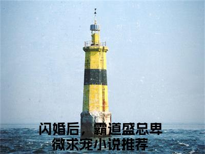 闪婚后，霸道盛总卑微求宠（盛擎洛婉精彩美文）免费阅读-小说盛擎洛婉最后结局如何