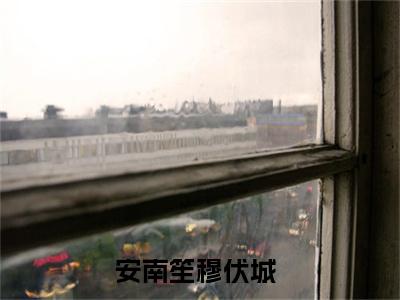 安南笙穆伏城(安南笙穆伏城)全文免费阅读无弹窗大结局_安南笙穆伏城免费阅读全文无弹窗_笔趣阁