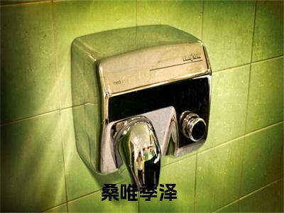 桑唯季泽满分小说全章节_桑唯季泽下拉式阅读_笔趣阁