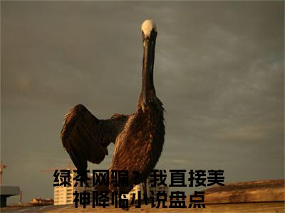 绿茶网骗？我直接美神降临(溪挽)全文免费阅读无弹窗大结局_绿茶网骗？我直接美神降临最新章节列表_笔趣阁(溪挽)