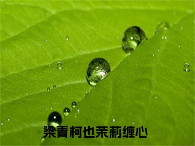 茉莉缠心(梁青柯也)全文免费阅读大结局_茉莉缠心（梁青柯也在线小说免费阅读）全文阅读大结局